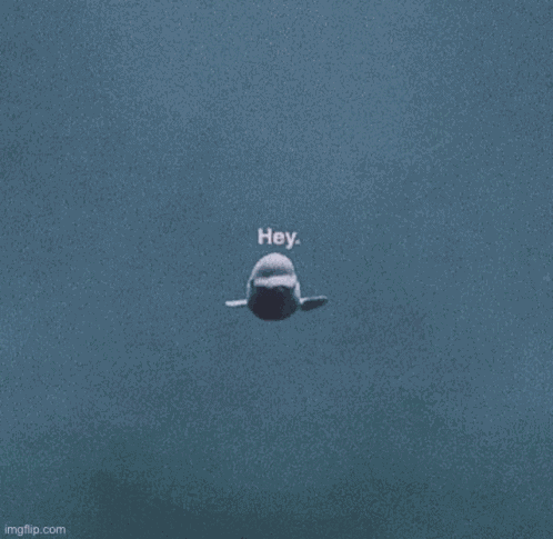 Love You GIF