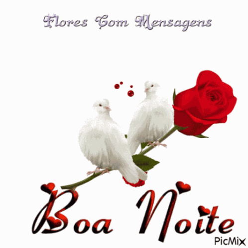 Love You Boa Noite GIF