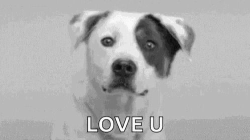 Love You Doggo GIF