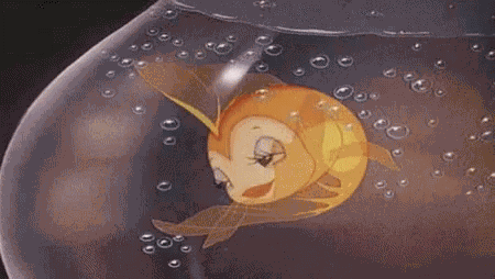 Love You GIF