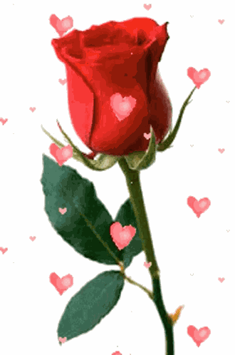 Love You GIF