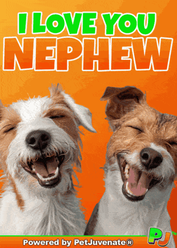 Love You Nephew Love My Nephew GIF