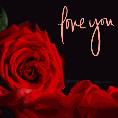 Love You Red Rose GIF