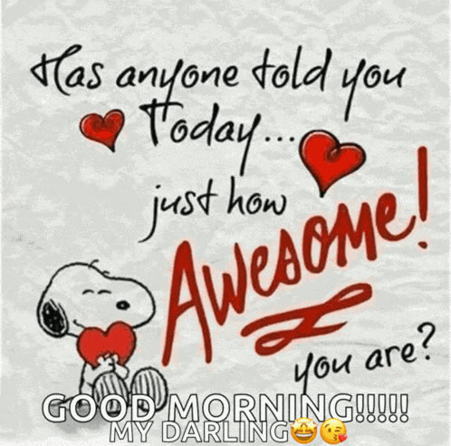 Love You Respect Meme