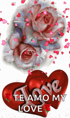 Love You Rose GIF