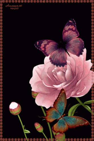 Love You Roses GIF