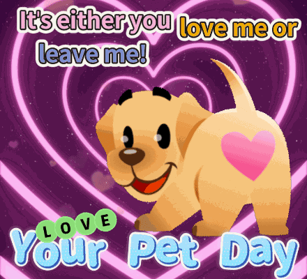 Love Your Pet Day Pet Love GIF