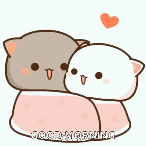 Lovely Cats GIF