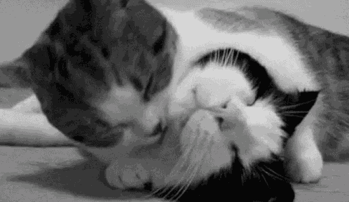 Loving GIF