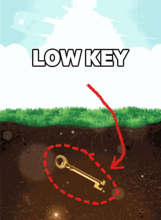 Low Key Meme GIF