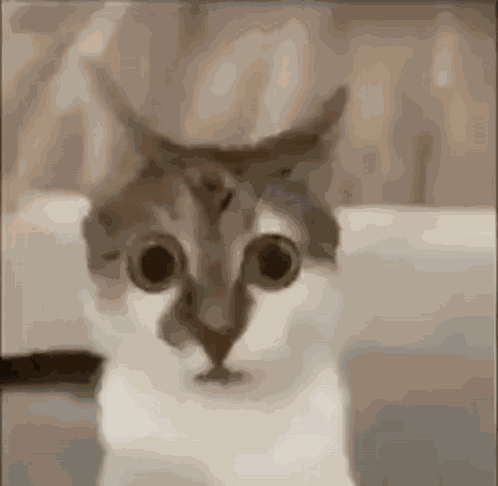 Low Quality Scared GIF