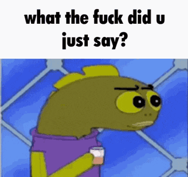 Lower Role What The Fuck Did U Just Say GIF