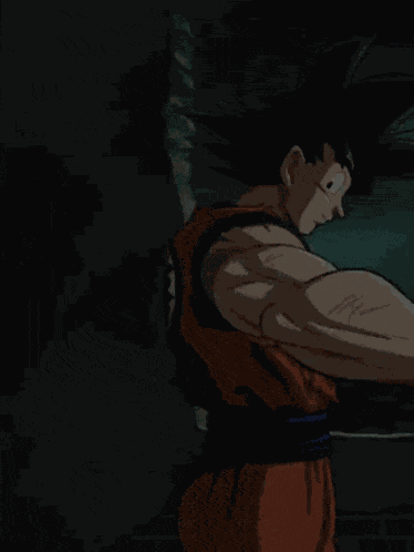 Lr Agl Super Saiyan God Ss Goku And Super Saiyan God Ss Vegeta All Out Final Battle GIF