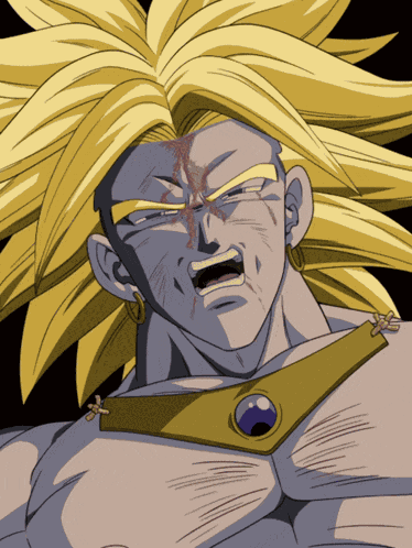 Lr Int Legendary Super Saiyan Broly Super Warrior Who Destroys All GIF