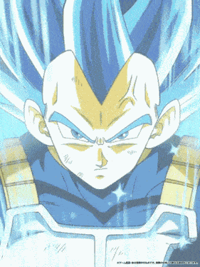 Lr Str Super Saiyan God Ss Evolved Vegeta Fight To Protect Pride And Keep Oaths GIF