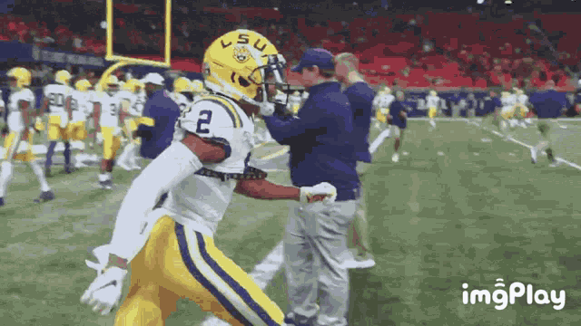 Lsu Tigers GIF