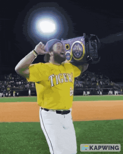 Lsu GIF