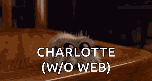 Lucas The Spider GIF