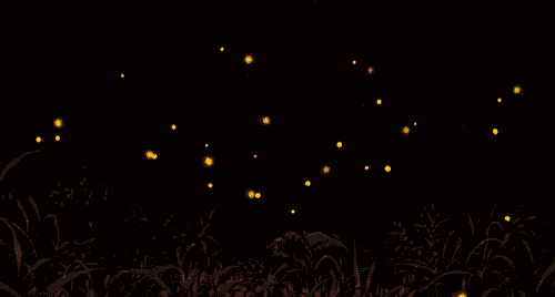 Luciérnagas GIF