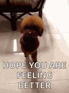 Lucu GIF