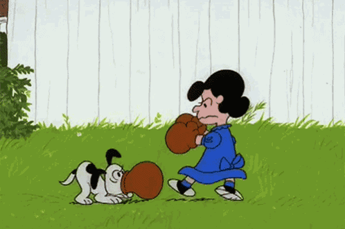 Lucy And Snoopy Fight GIF