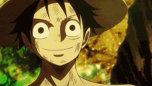 Luffy One Piece GIF