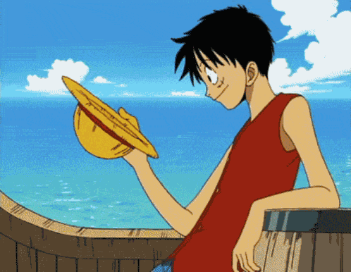 Luffy One Piece GIF