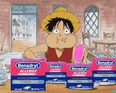 Luffy One Piece GIF