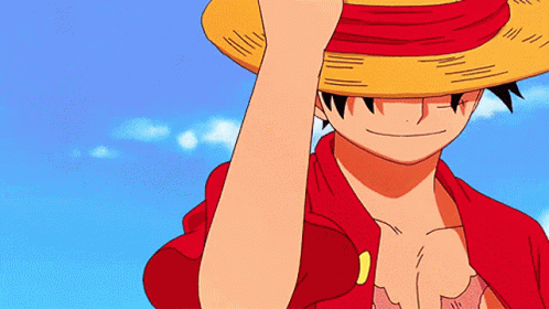 Luffy One Piece GIF