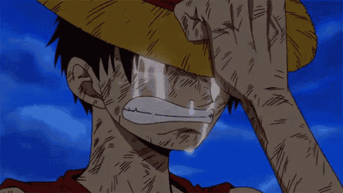 Luffy One Piece GIF