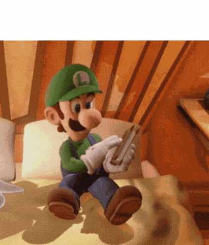 Luigi Sleep GIF