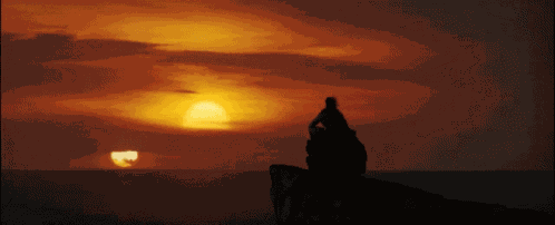 Luke Luke Skywalker GIF