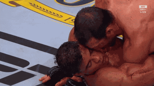 Luke Rockhold Paulo Costa GIF