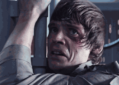 Luke Skywalker Thats Not True GIF