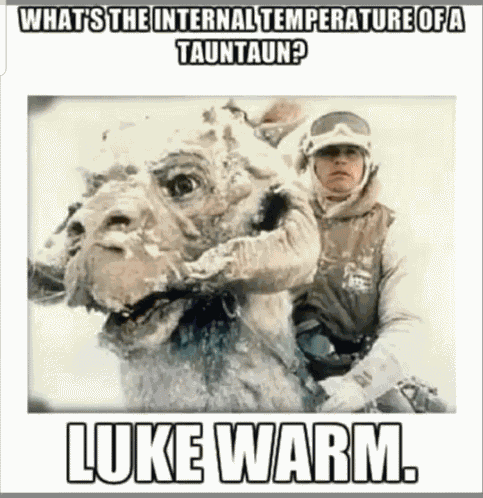 Luke Warm Tauntaun GIF