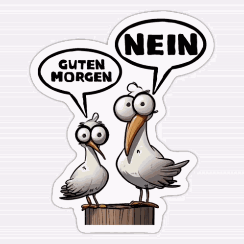 Möwe Morgens GIF