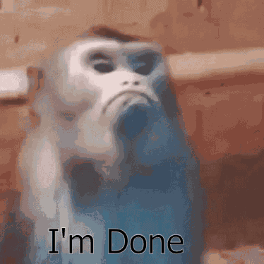 M2 GIF