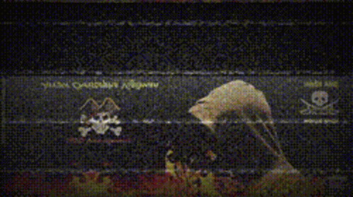 M2c Tumblr Glitch GIF