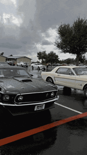Mach 1 Boss 302 GIF