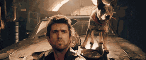 Mad Max Dog Amused GIF