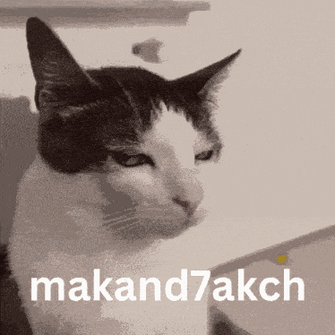 Mada7kch Makand7akch GIF