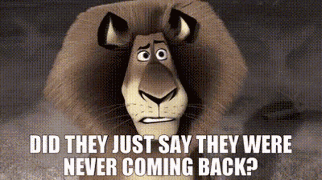Madagascar Alex The Lion GIF