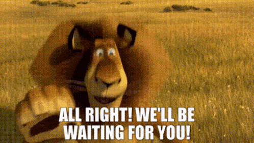 Madagascar Alex The Lion GIF