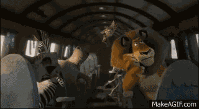 Madagascar Emergency Landing GIF