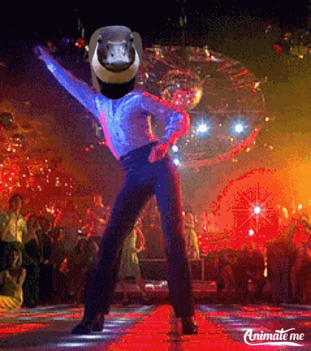 Madisonhuvan Goose GIF