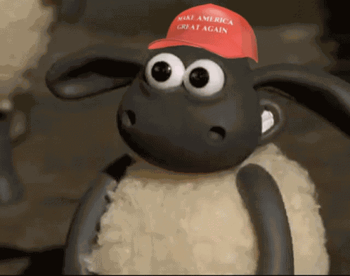 Maga Sheep GIF