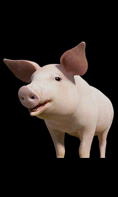 Maggot Spider Pig GIF