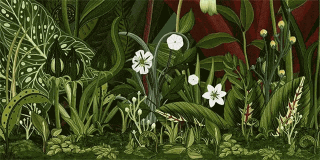 Magic Bloom GIF