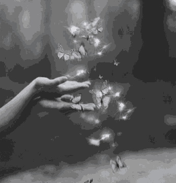 Magic Butterflies GIF