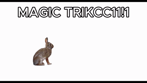 Magic Trick Rabbit Magic Trick GIF